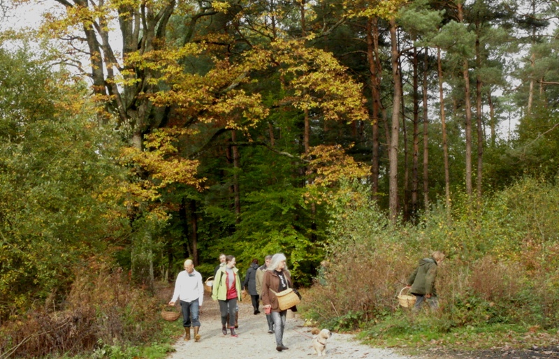 2013 1102 portebaudet gr ev